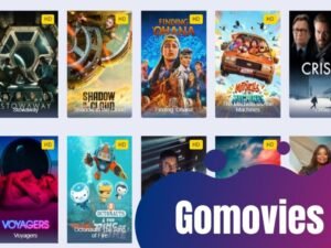0gomovies proxy