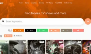 0gomovies malayalam movie